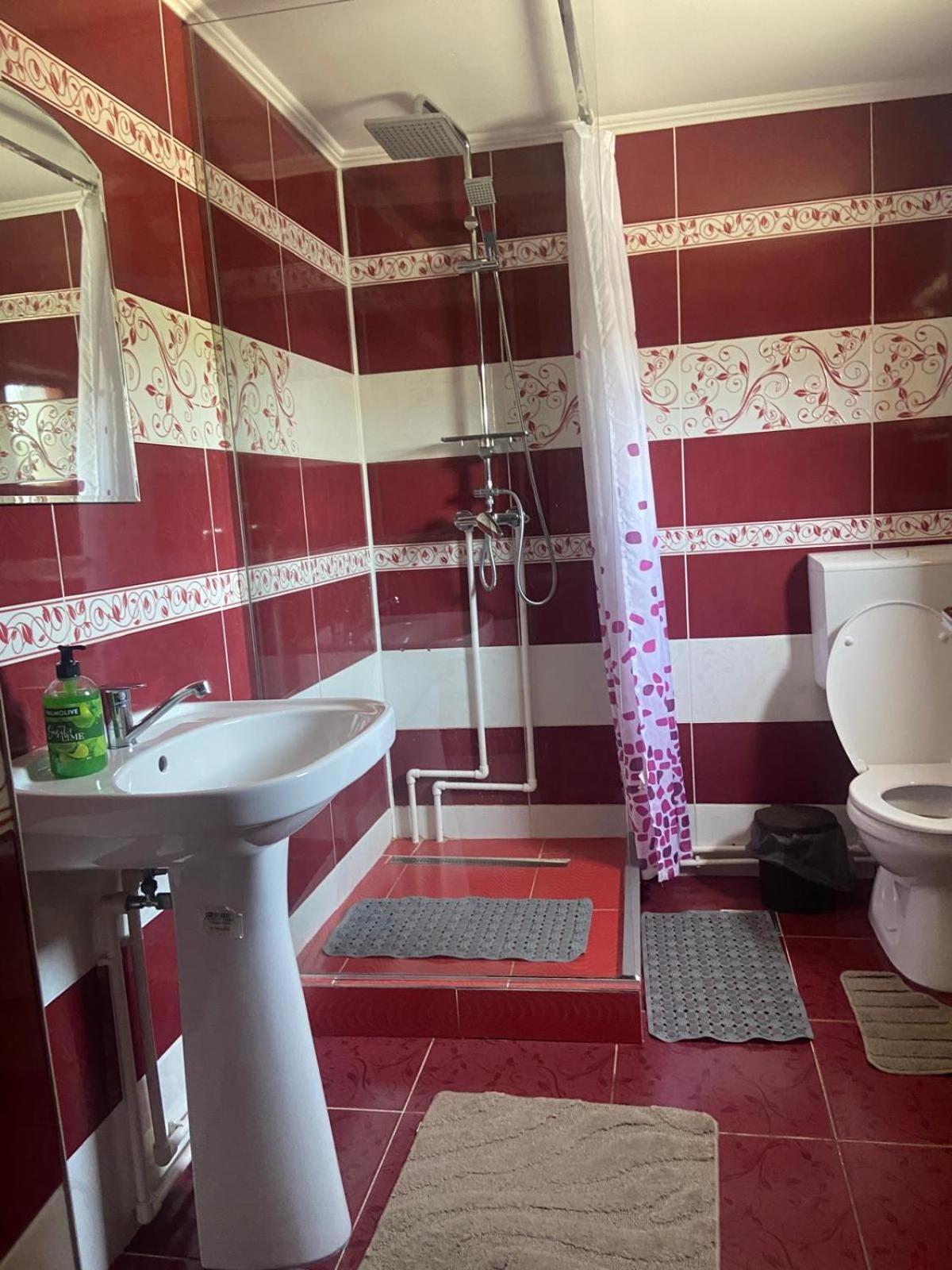 Pensiunea Casa Deny Novaci-Straini Bagian luar foto